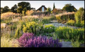 براعم مستدامة: ورش عمل حول الحدائق الصديقة للبيئة