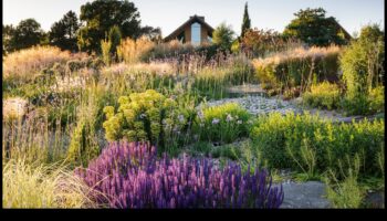 براعم مستدامة: ورش عمل حول الحدائق الصديقة للبيئة