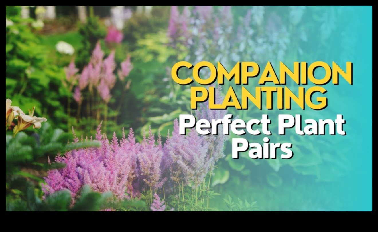 الرفاق المزدهرون: العلم وراء انسجام الحديقة