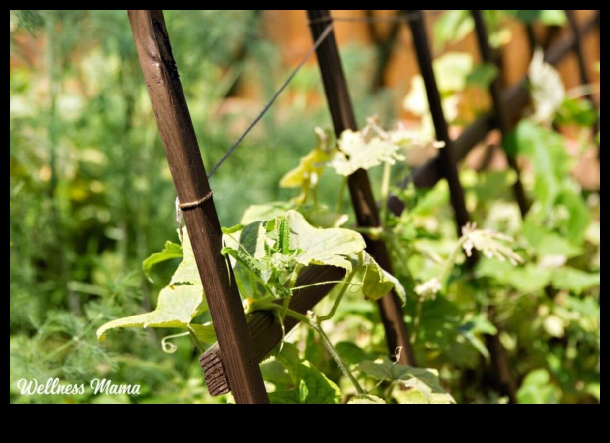 مرتفعات الحديقة: كشف أسرار البستنة العمودية