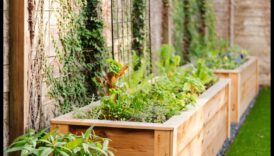 مرتفعات الحديقة: كشف أسرار البستنة العمودية