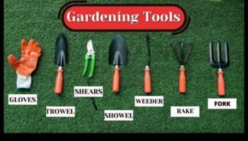 الزراعة العملية: أدوات الحدائق الأساسية لكل بستاني