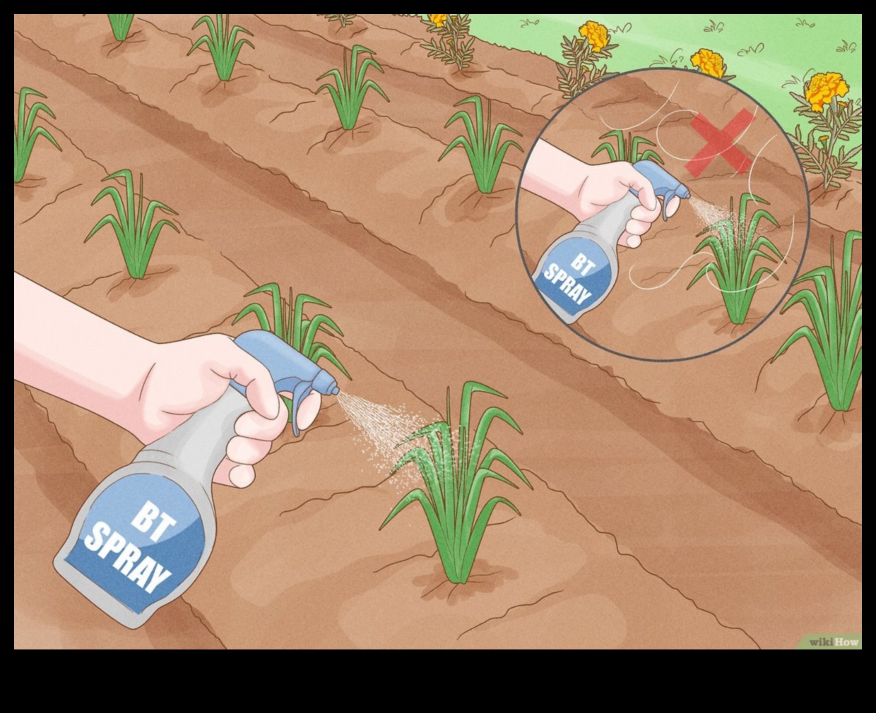 حماية الخضر الخاصة بك: 5 طرق لإبعاد الآفات عن حديقتك 3 احرس خضارك: نصائح لمكافحة آفات الحديقة