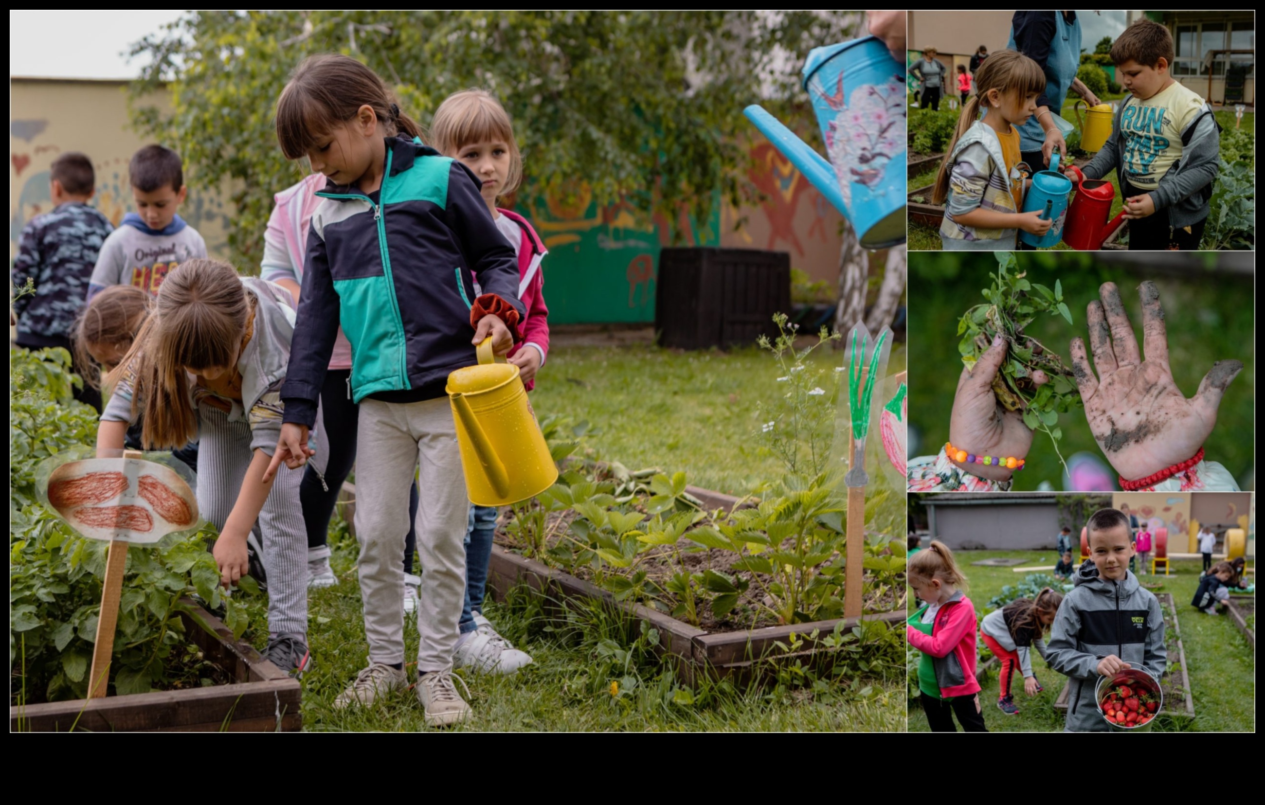 العلماء الناشئين تنمية حب التعلم من خلال البستنة 4 العلماء الناشئين: عجائب تعليم الحدائق