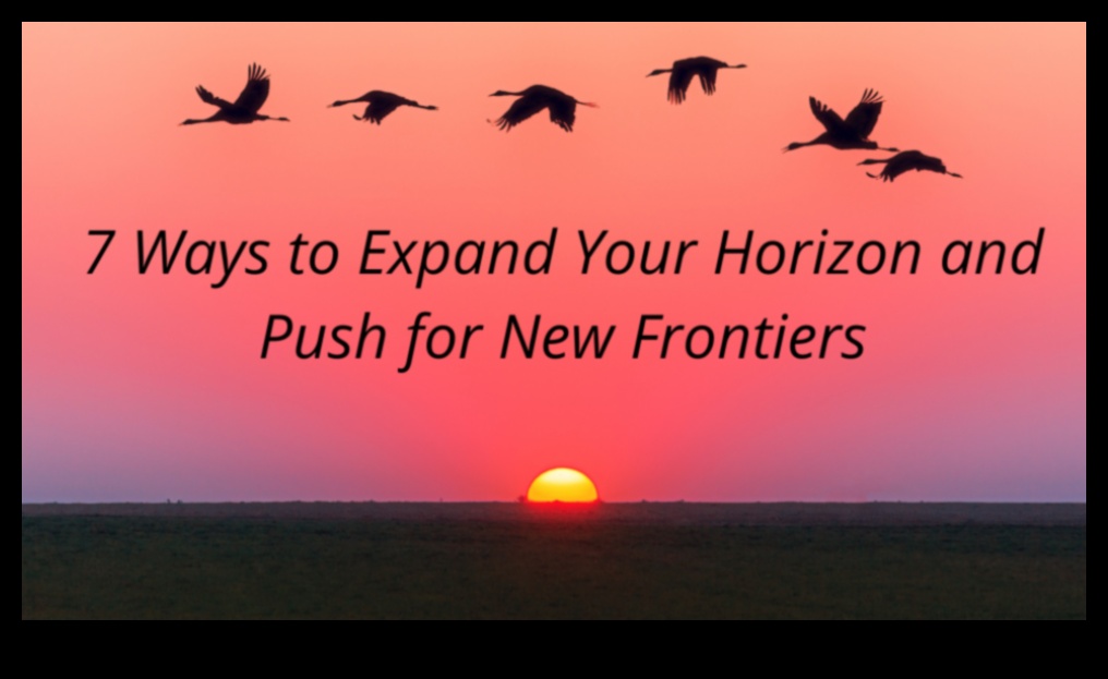 آفاق بدء التشغيل: استكشاف حدود جديدة للأعمال