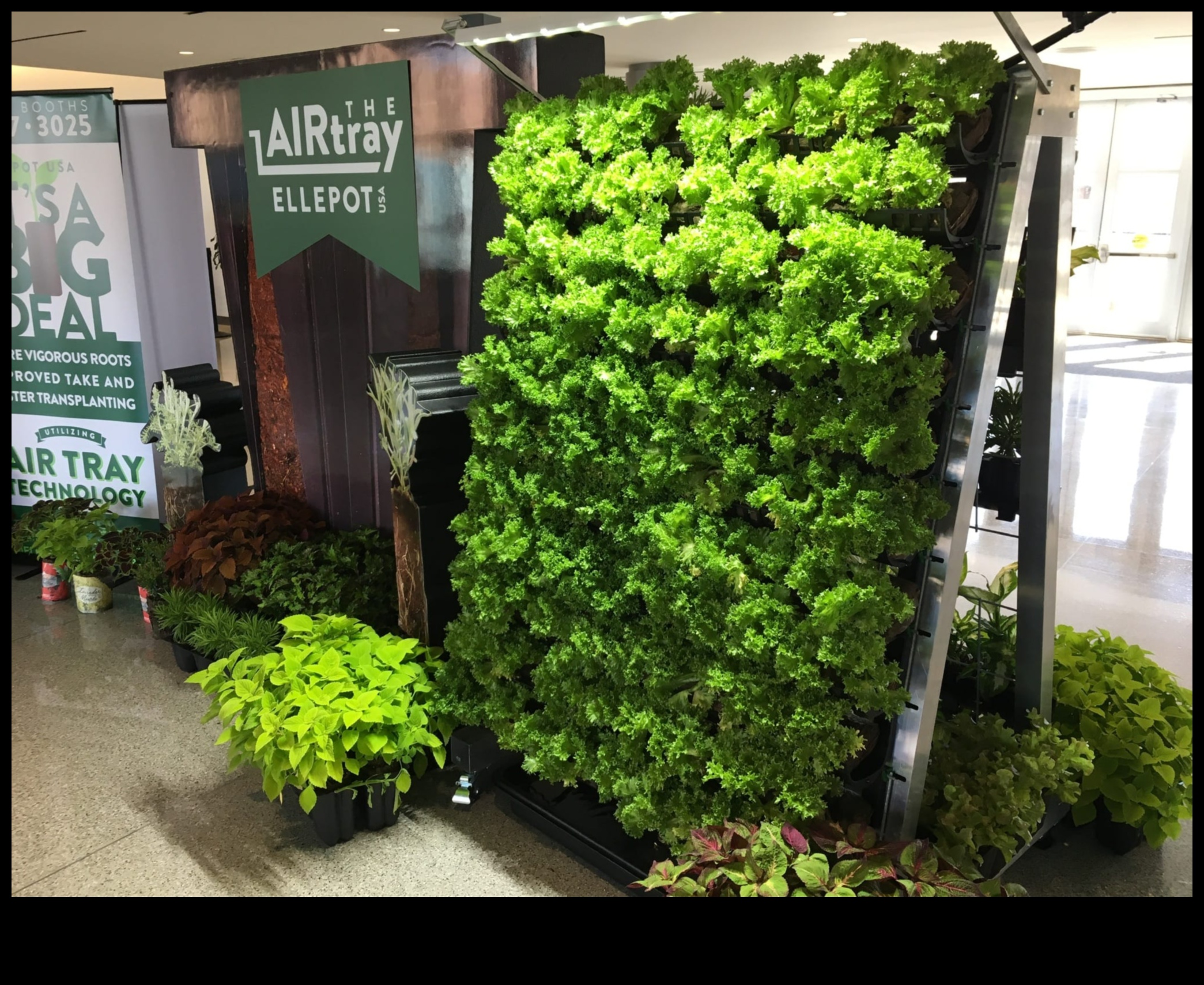 التسلق إلى الجنة تم الكشف عن إتقان البستنة العمودية كيفية زراعة حديقتك الخاصة في الهواء 5 الصعود إلى الجنة: كشف إتقان البستنة العمودية