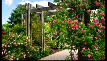 الصعود إلى الجنة: كشف إتقان البستنة العمودية