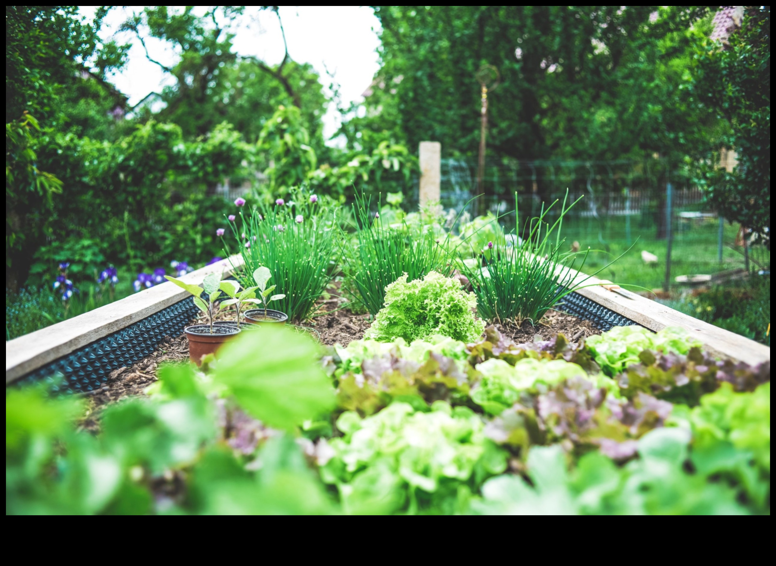 بلومرز المدينة: مزدهرة مع مسرات البستنة الحاوية