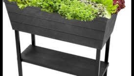 بلومرز المدينة: مزدهرة مع مسرات البستنة الحاوية