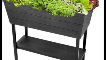 بلومرز المدينة: مزدهرة مع مسرات البستنة الحاوية