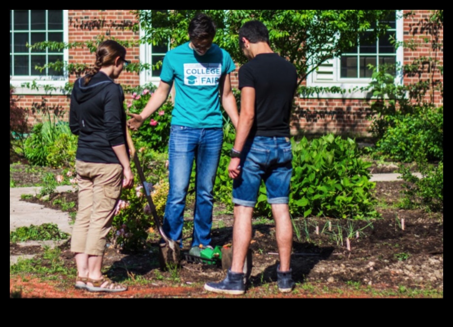 حديقة الفصول الدراسية تنمية الفضول والإبداع 4 الفصول الدراسية في الحديقة: التعلم العملي في بلوم