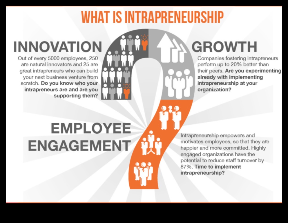 رؤى ريادة الأعمال الداخلية: تعزيز الابتكار داخل الشركات الصغيرة