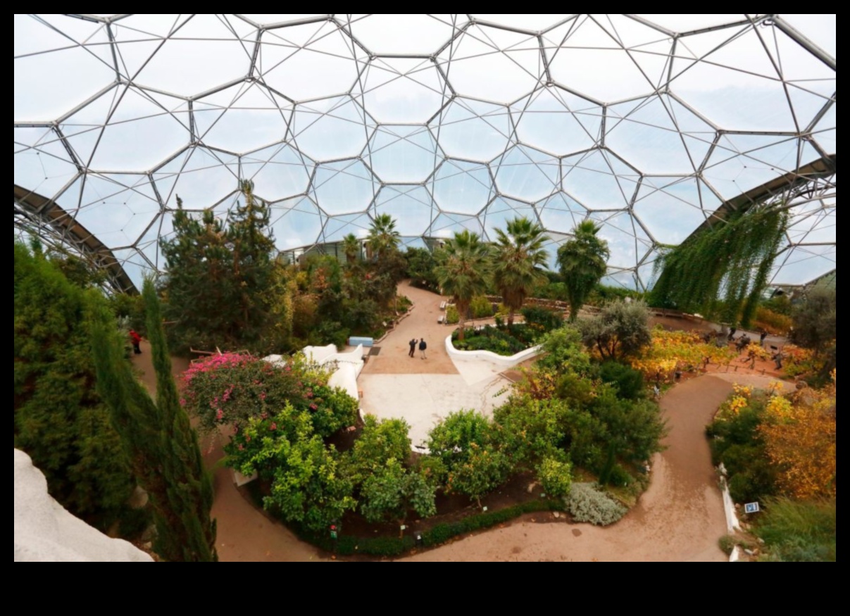 تم الكشف عن عدن: أحلام تصميم الحدائق أصبحت حقيقة