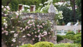 تم الكشف عن عدن: أحلام تصميم الحدائق أصبحت حقيقة