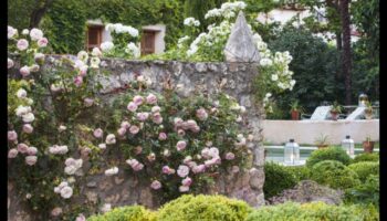 تم الكشف عن عدن: أحلام تصميم الحدائق أصبحت حقيقة