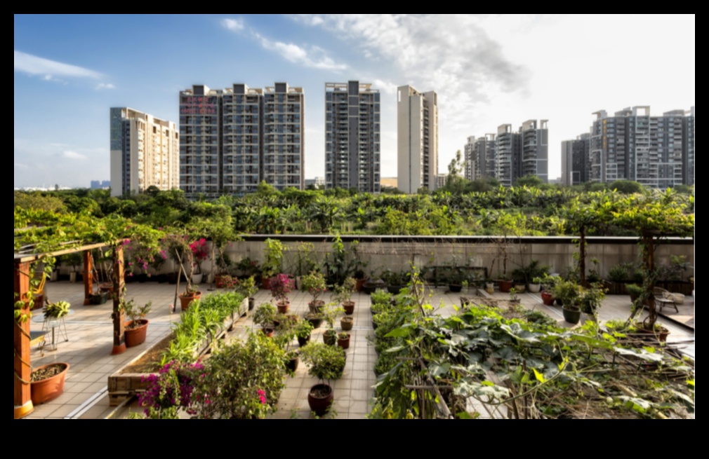 مناظر المدينة المستدامة: ابتكارات البستنة الحضرية من أجل مستقبل أكثر اخضرارًا 5 مناظر المدينة المستدامة: ابتكارات البستنة الحضرية