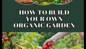 الوئام البيئي: صياغة الحدائق المورقة بالسحر العضوي