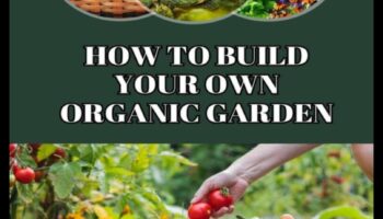 الوئام البيئي: صياغة الحدائق المورقة بالسحر العضوي