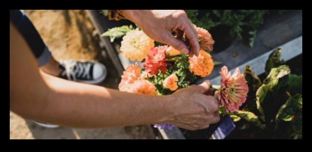 زراعة الفرح: 5 طرق لإنشاء ملاذ حديقة مبهج 4 زراعة الفرح: نصائح أساسية لملاذ حديقة مبهج