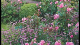 تزدهر الأزهار: أناقة تصميم الحديقة في إزهار كامل