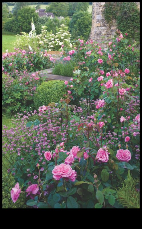 تزدهر الأزهار: أناقة تصميم الحديقة في إزهار كامل