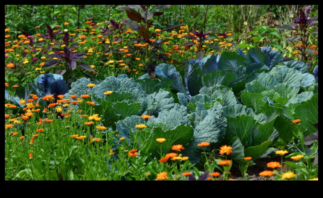الرفاق المزدهرون: ارفعوا الجمال مع الزراعة المصاحبة
