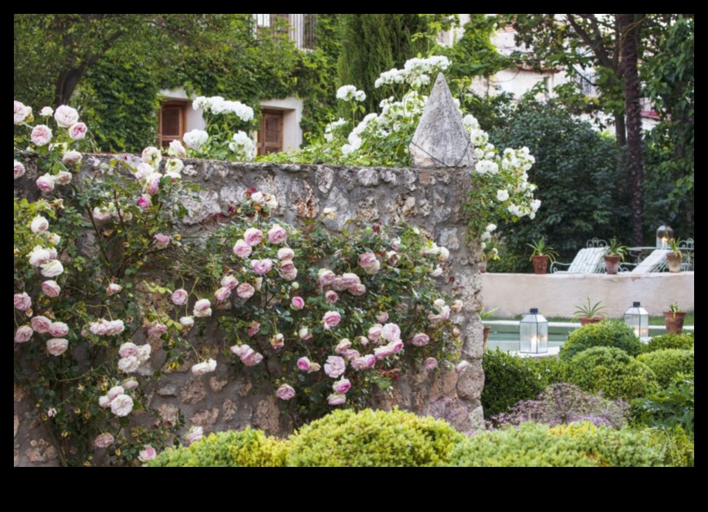 تم الكشف عن عدن: أحلام تصميم الحدائق أصبحت حقيقة